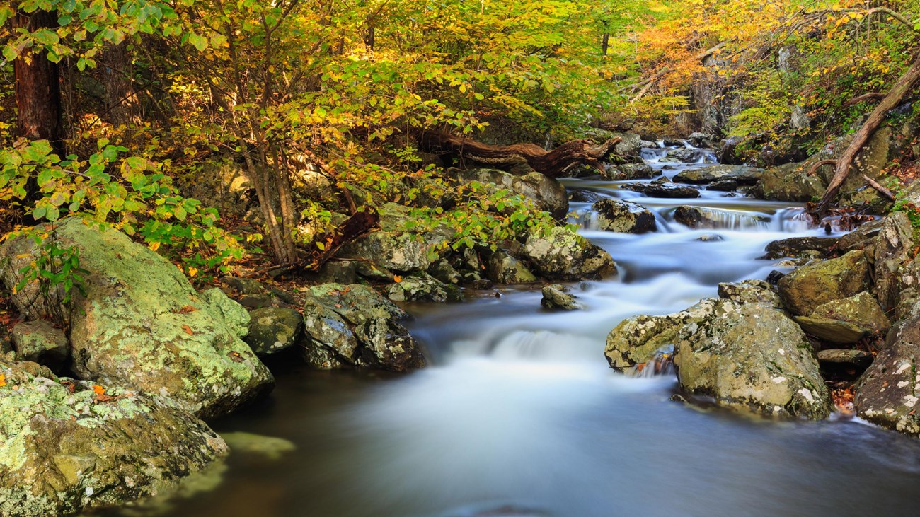 White Oak Canyon Falls